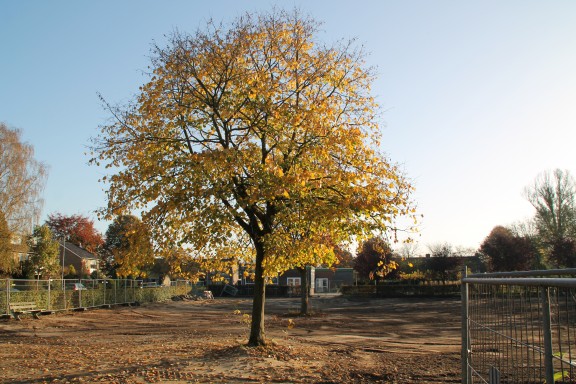 Stichting Historisch Hoeflake – Hoevelaken